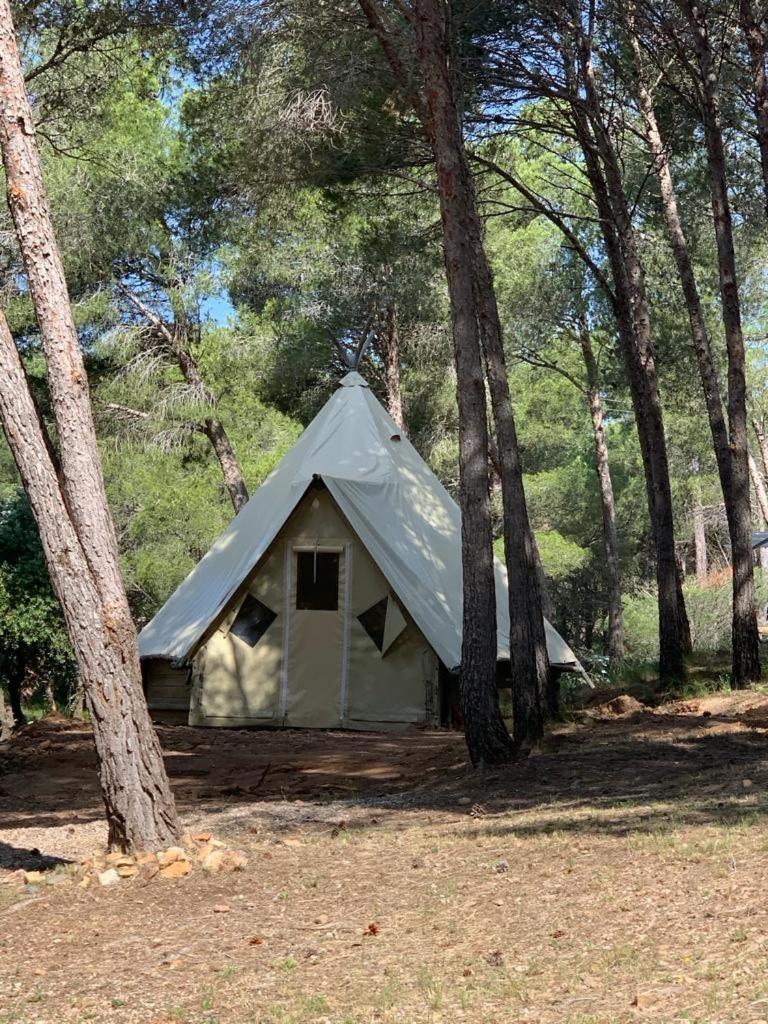 Camping Le Bois De Pins سالس-ليه-شاتو المظهر الخارجي الصورة